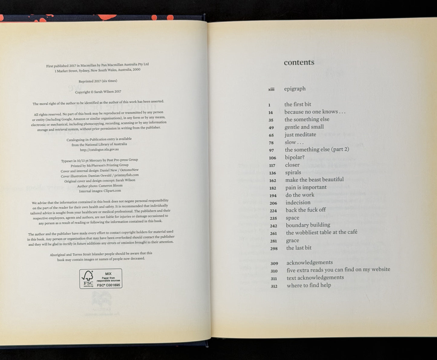 First, We Make the Beast Beautiful by Sarah Wilson