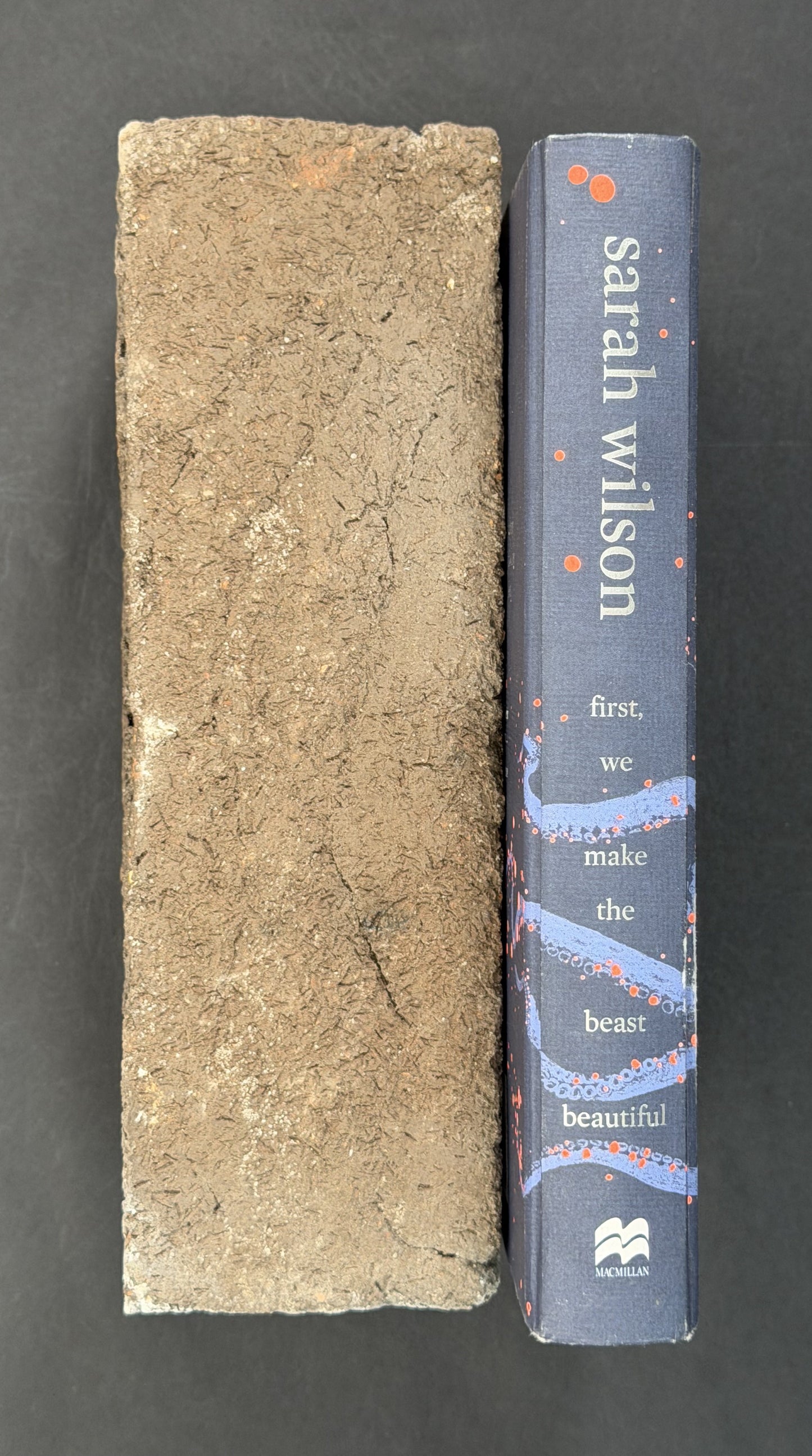 First, We Make the Beast Beautiful by Sarah Wilson