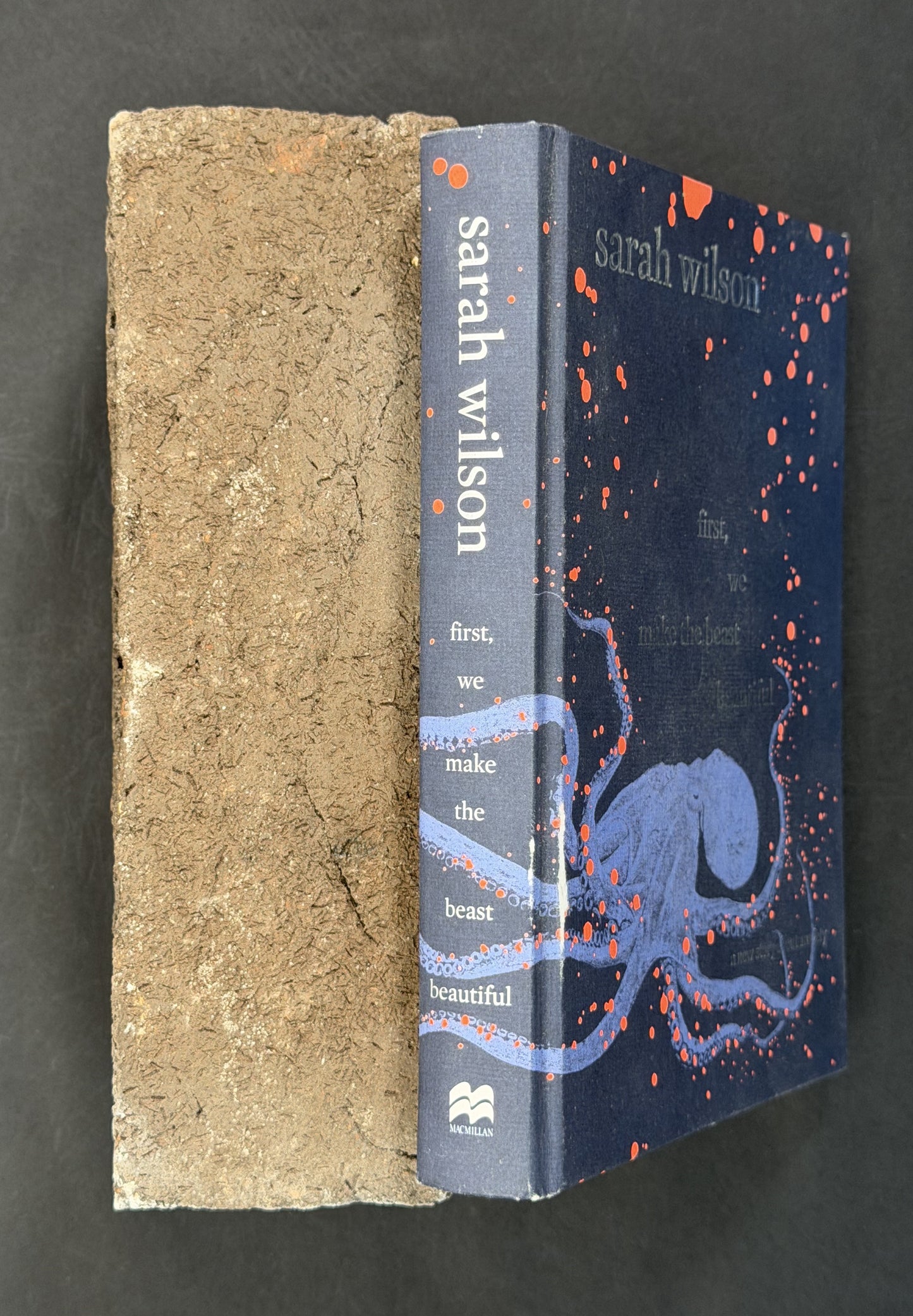 First, We Make the Beast Beautiful by Sarah Wilson