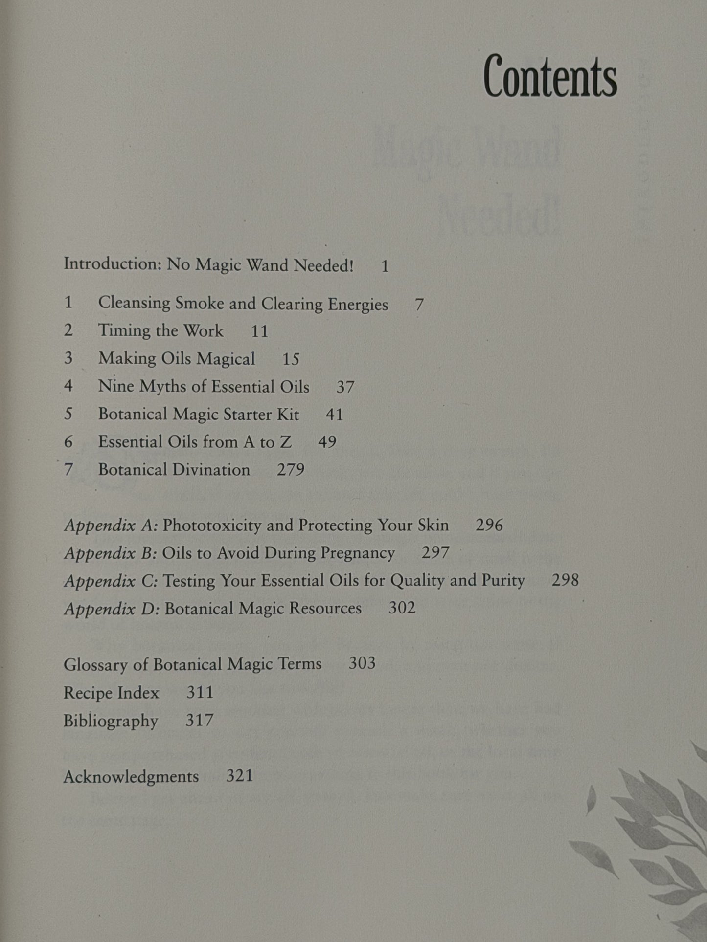 Blackthorn's Botanical Magic by Amy Blackthorn