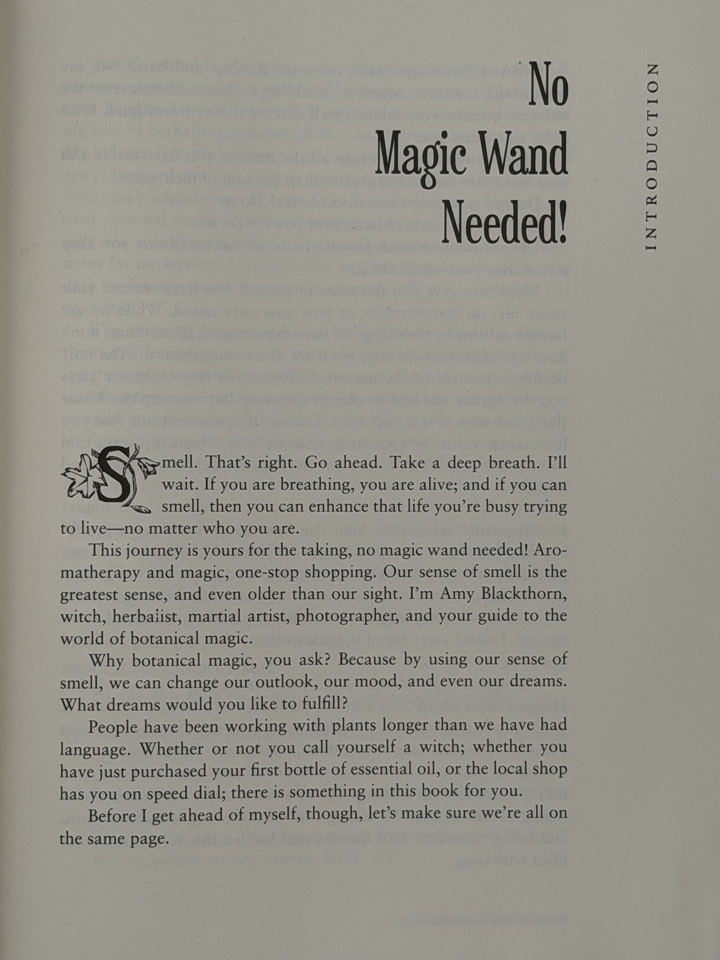 Blackthorn's Botanical Magic by Amy Blackthorn