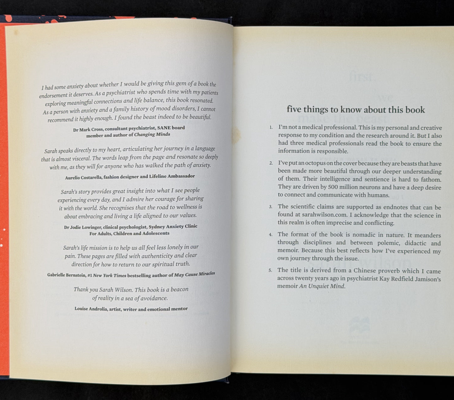 First, We Make the Beast Beautiful by Sarah Wilson