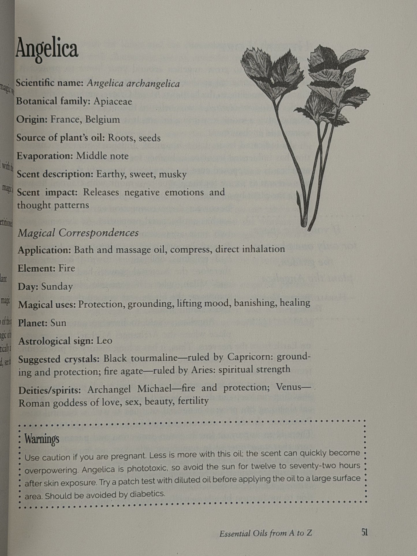 Blackthorn's Botanical Magic by Amy Blackthorn