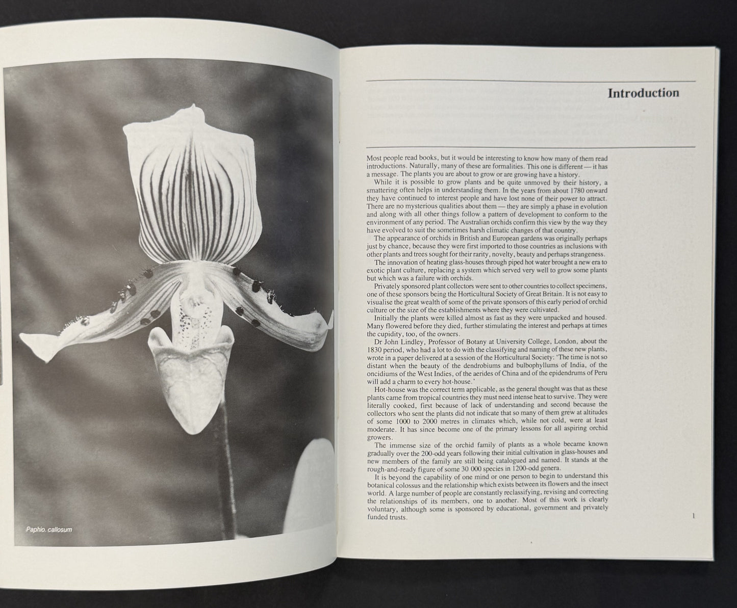 Growing Orchids by J. N. Rentoul