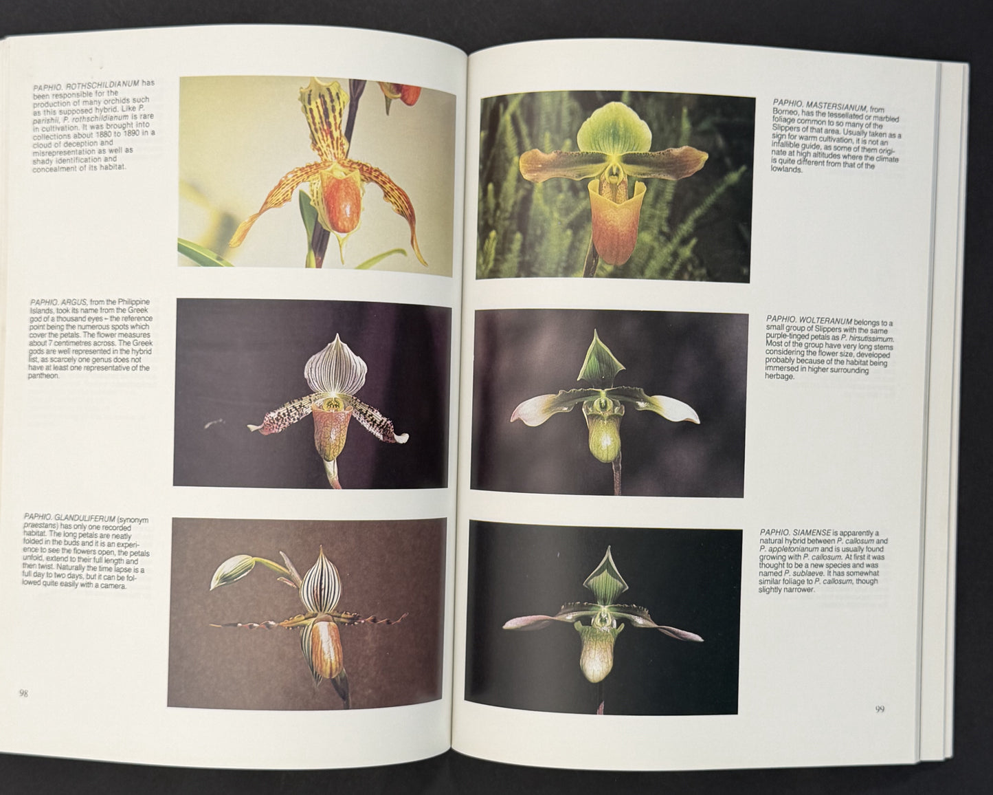 Growing Orchids by J. N. Rentoul