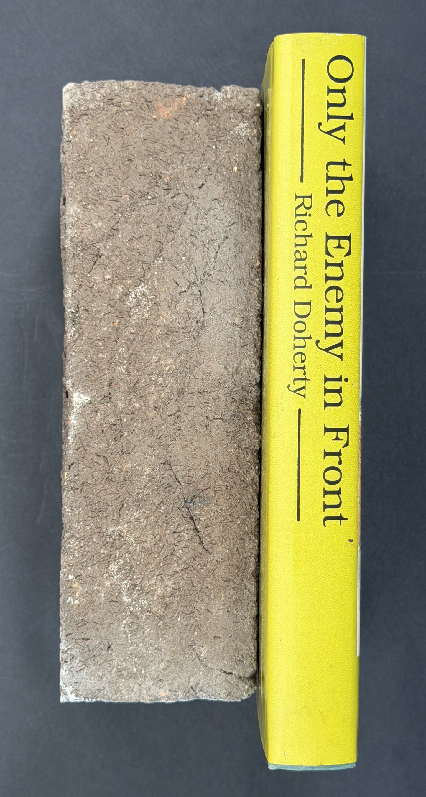 Only the Enemy in Front (every Other Beggar Behind-- ) by Richard Doherty