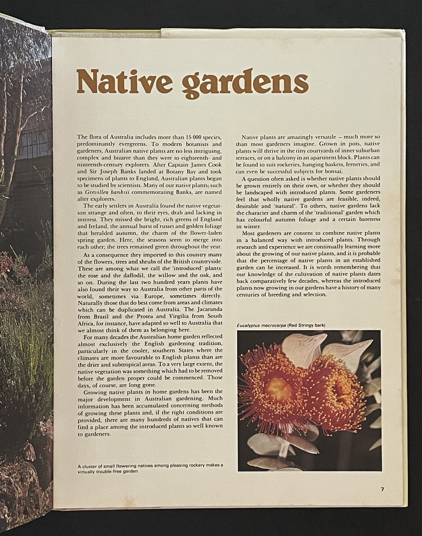 Native Plants for Australian Gardens by Richard Thomas Martin Pescott