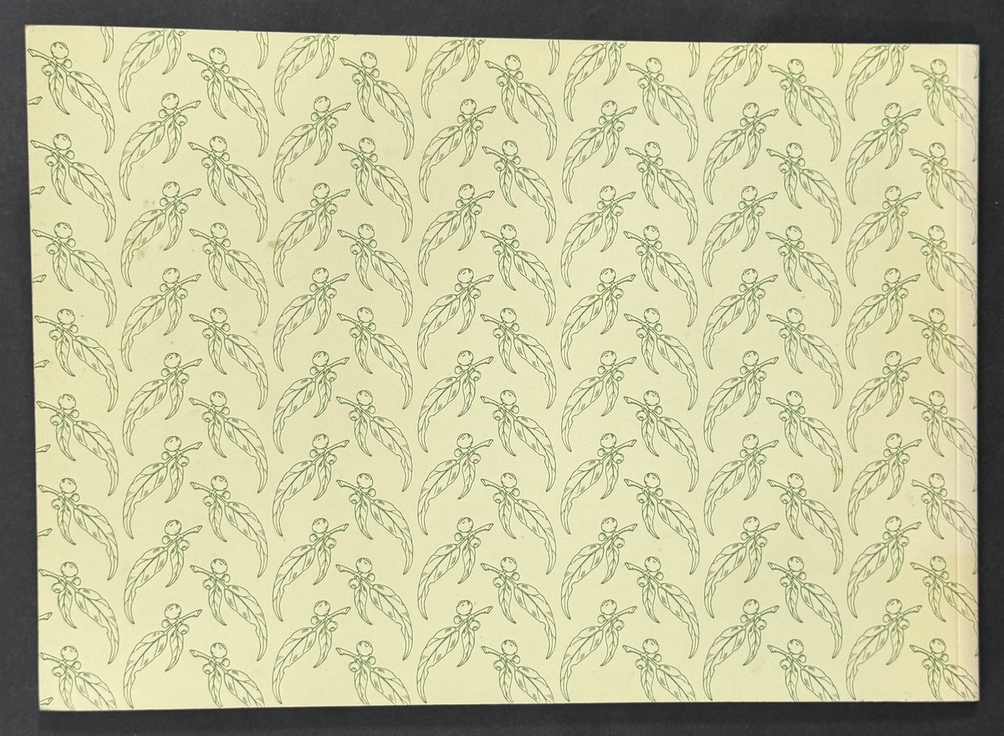 KOALAS KANGAROOS AND KOOKABURRAS by Robert Holden