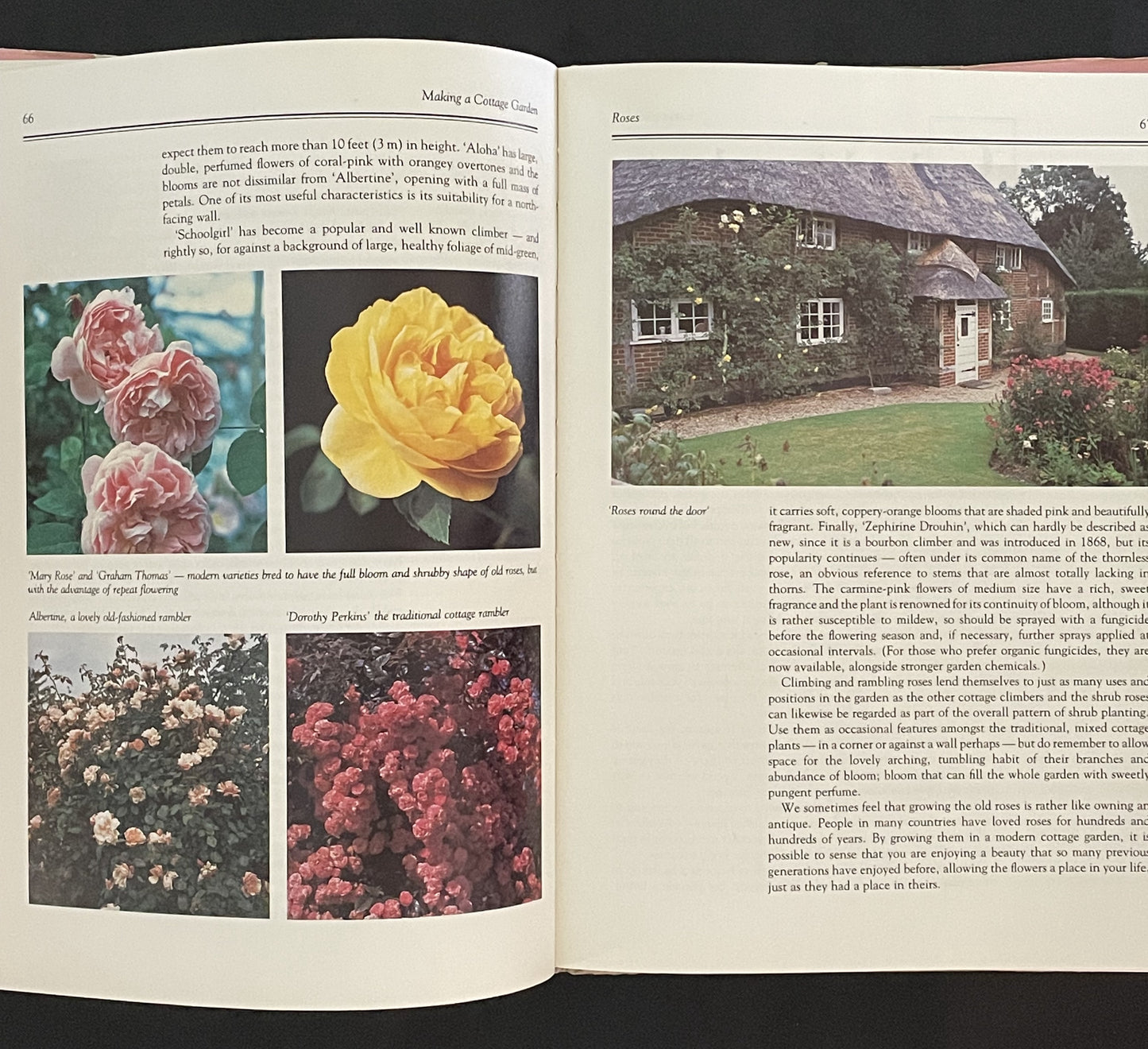 Making a Cottage Garden by Faith Whiten, Geoff Whiten