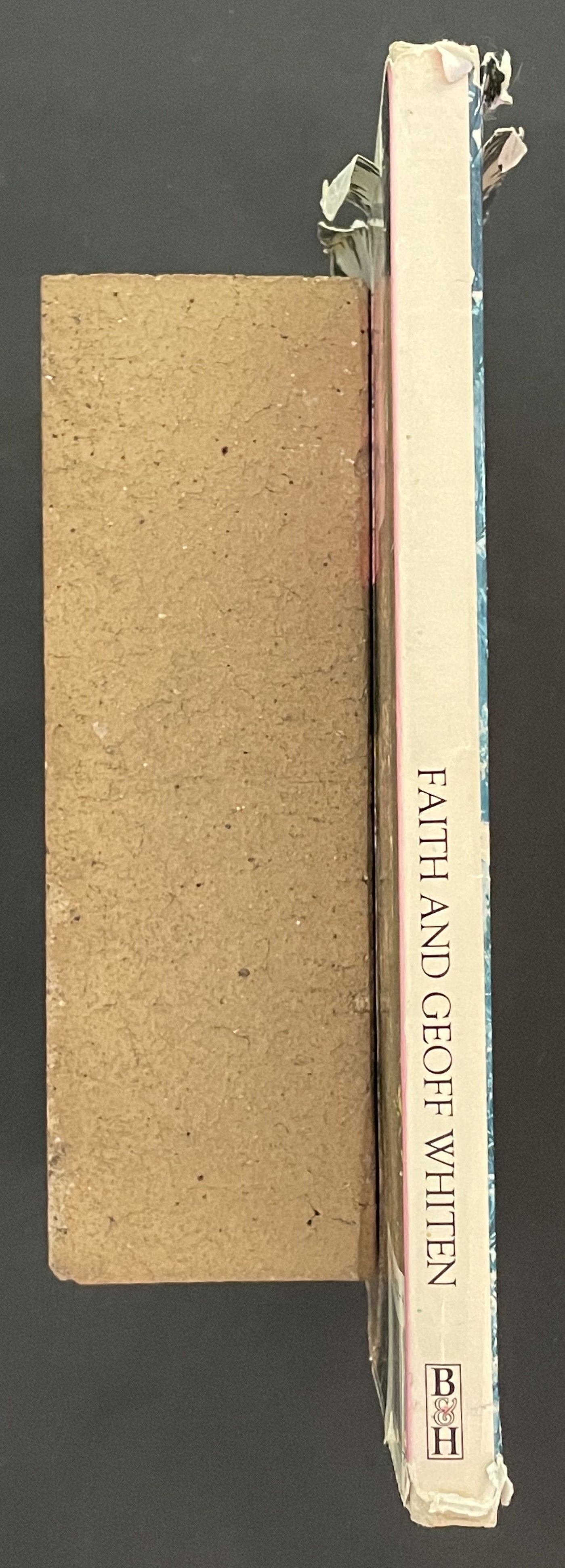 Making a Cottage Garden by Faith Whiten, Geoff Whiten