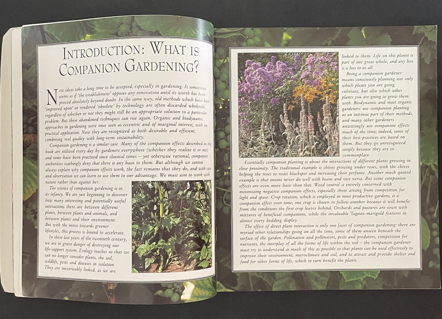 Bob Flowerdew's Complete Book of Companion Gardening