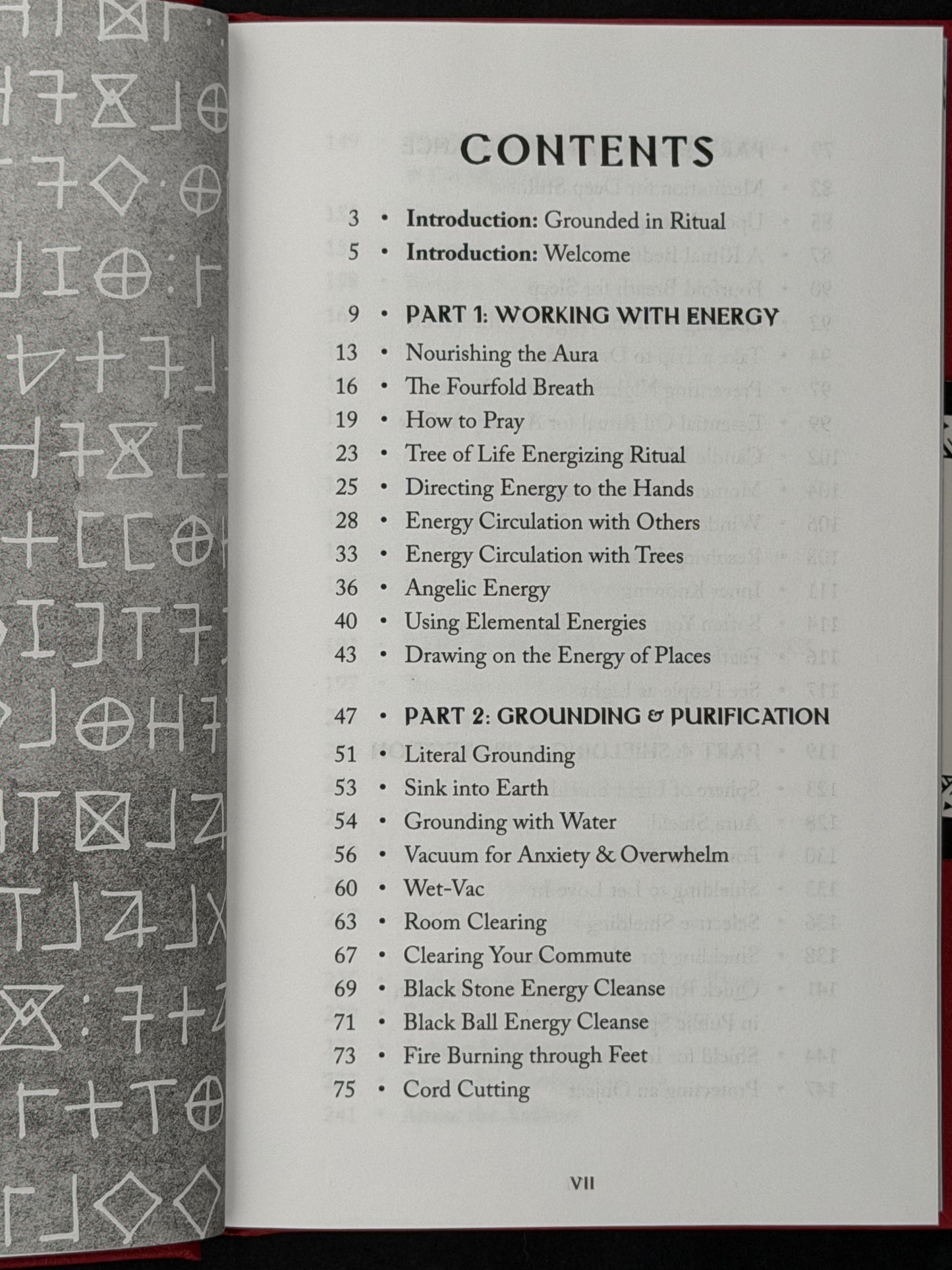 Ritual by Damien Echols, Lorri Davis