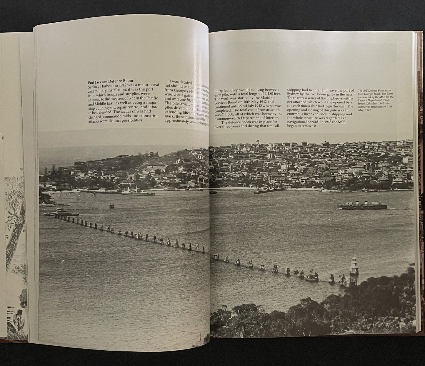 Sydney Harbour by Michael Stringer