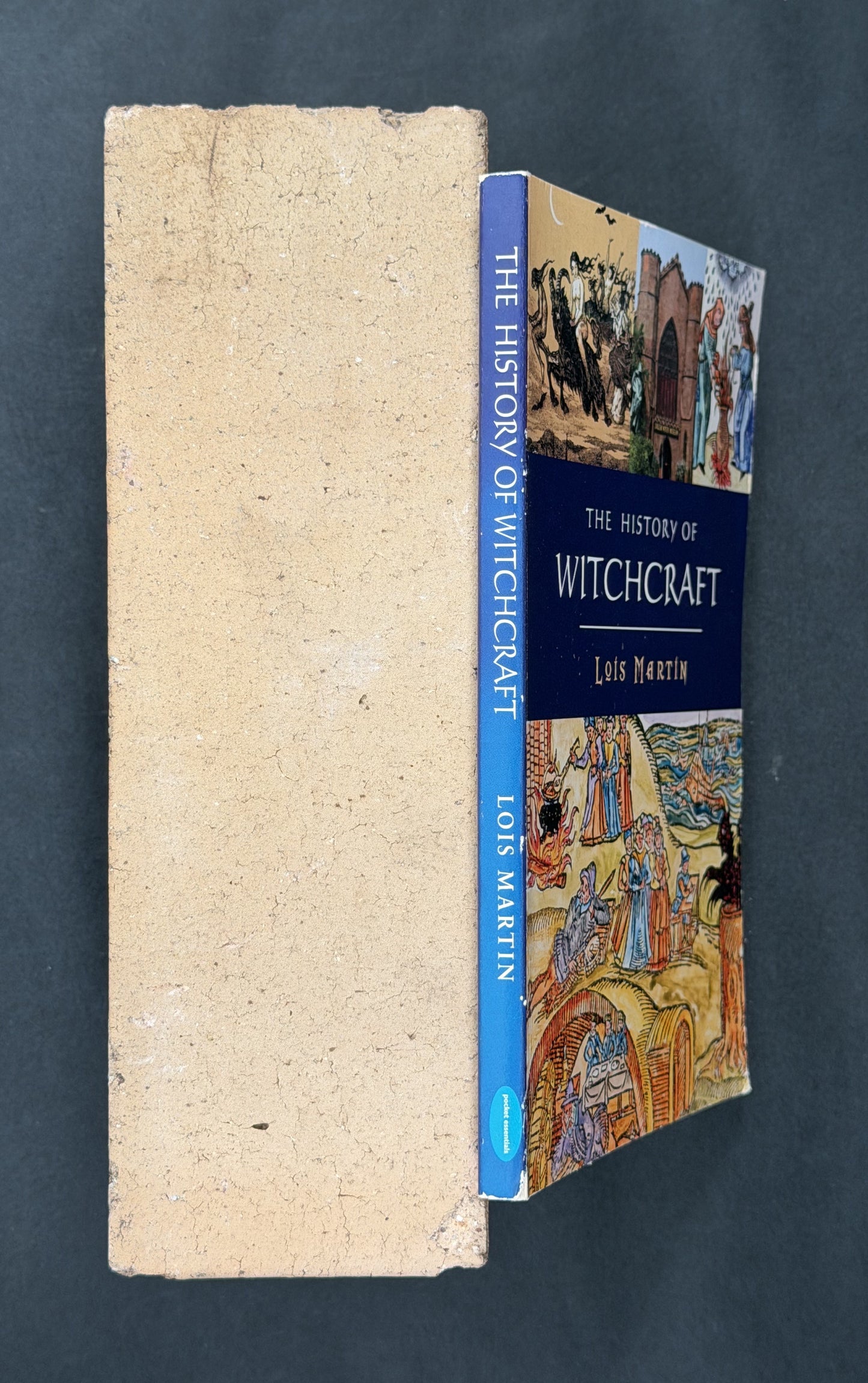 The History of Witchcraft by Lois Martin