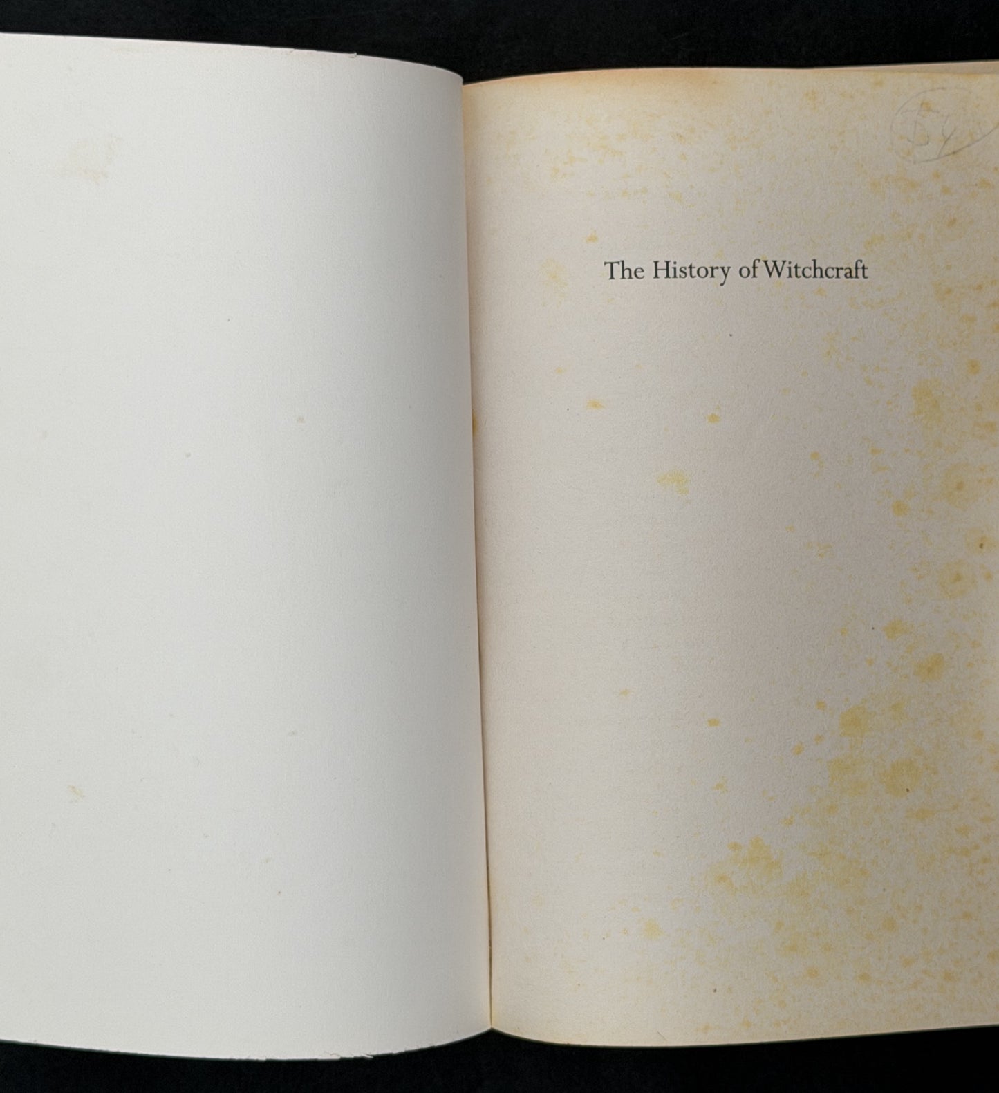 The History of Witchcraft by Lois Martin