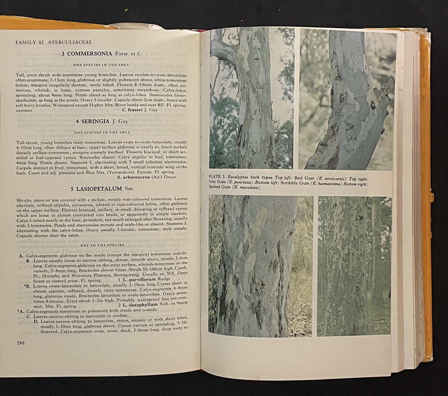 Flora of the Sydney Region by N. C. W. Beadle, O. D. Evans, R. C. Carolin