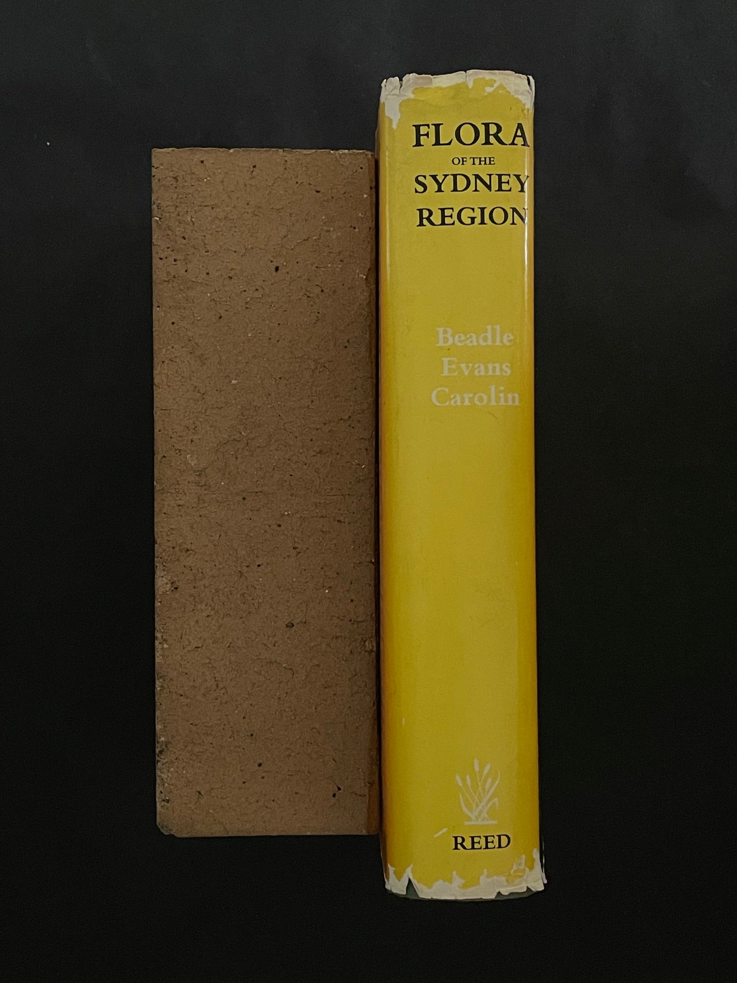 Flora of the Sydney Region by N. C. W. Beadle, O. D. Evans, R. C. Carolin