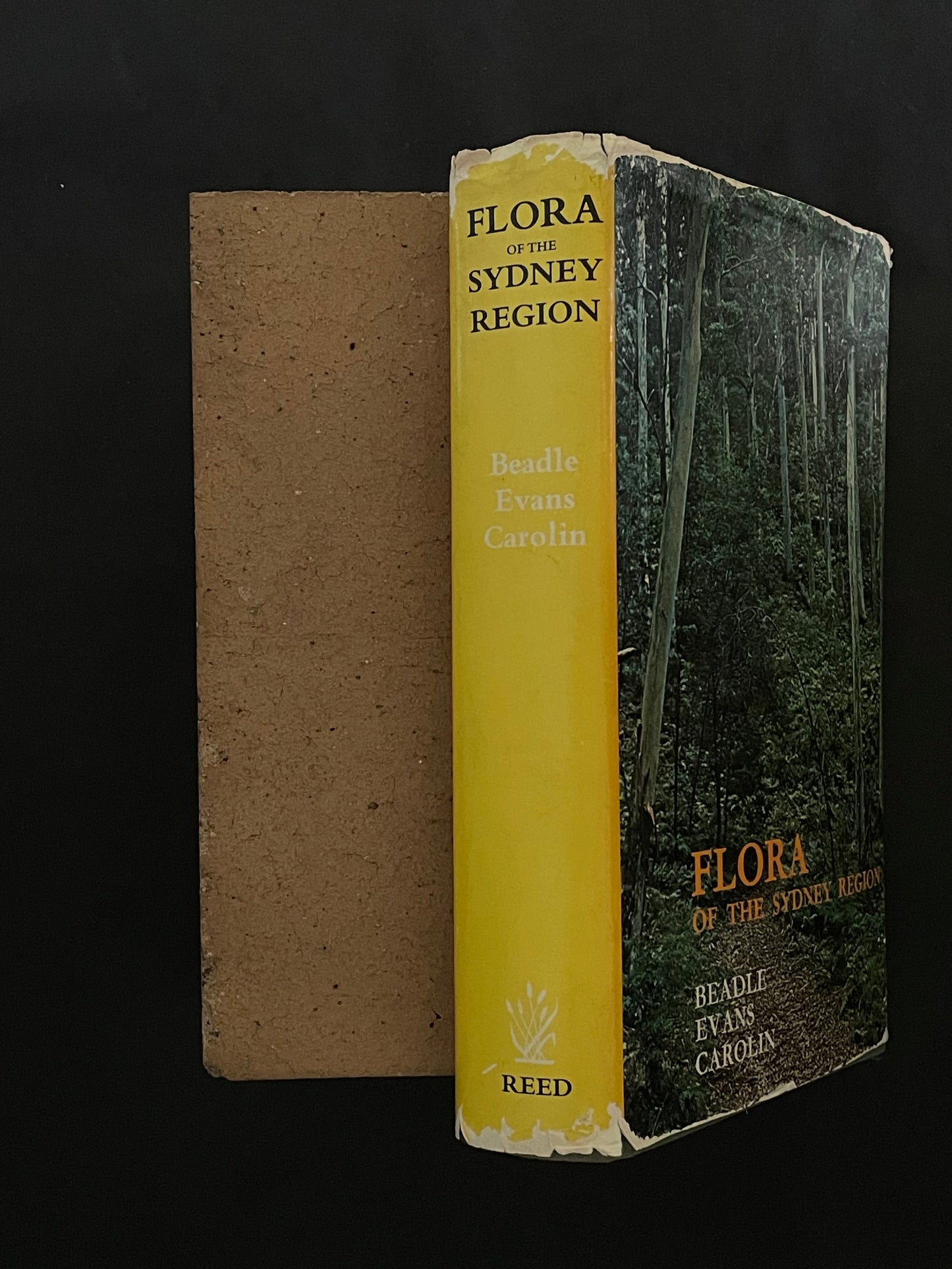 Flora of the Sydney Region by N. C. W. Beadle, O. D. Evans, R. C. Carolin
