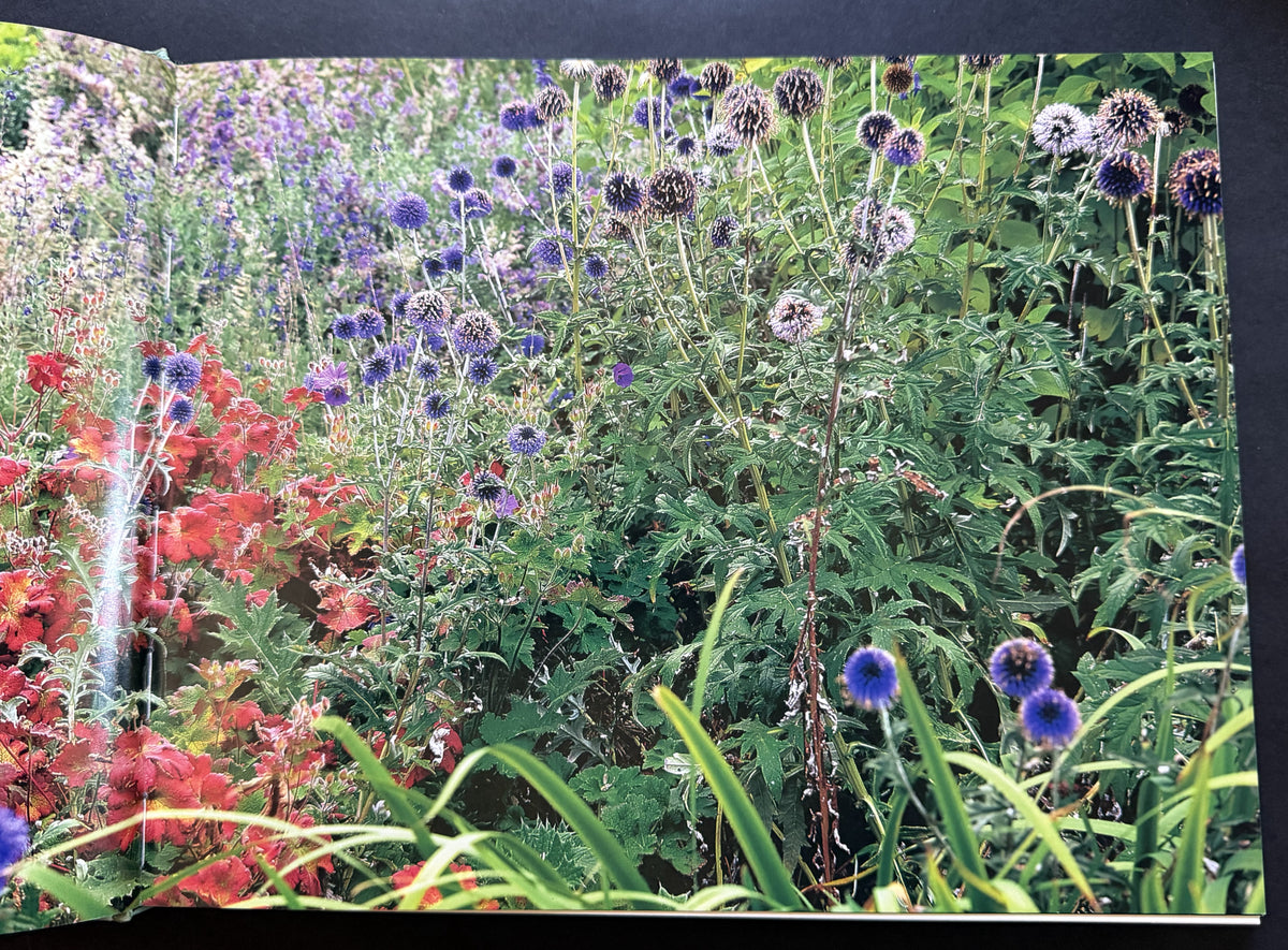 The Enchanted Garden by Paul Bangay