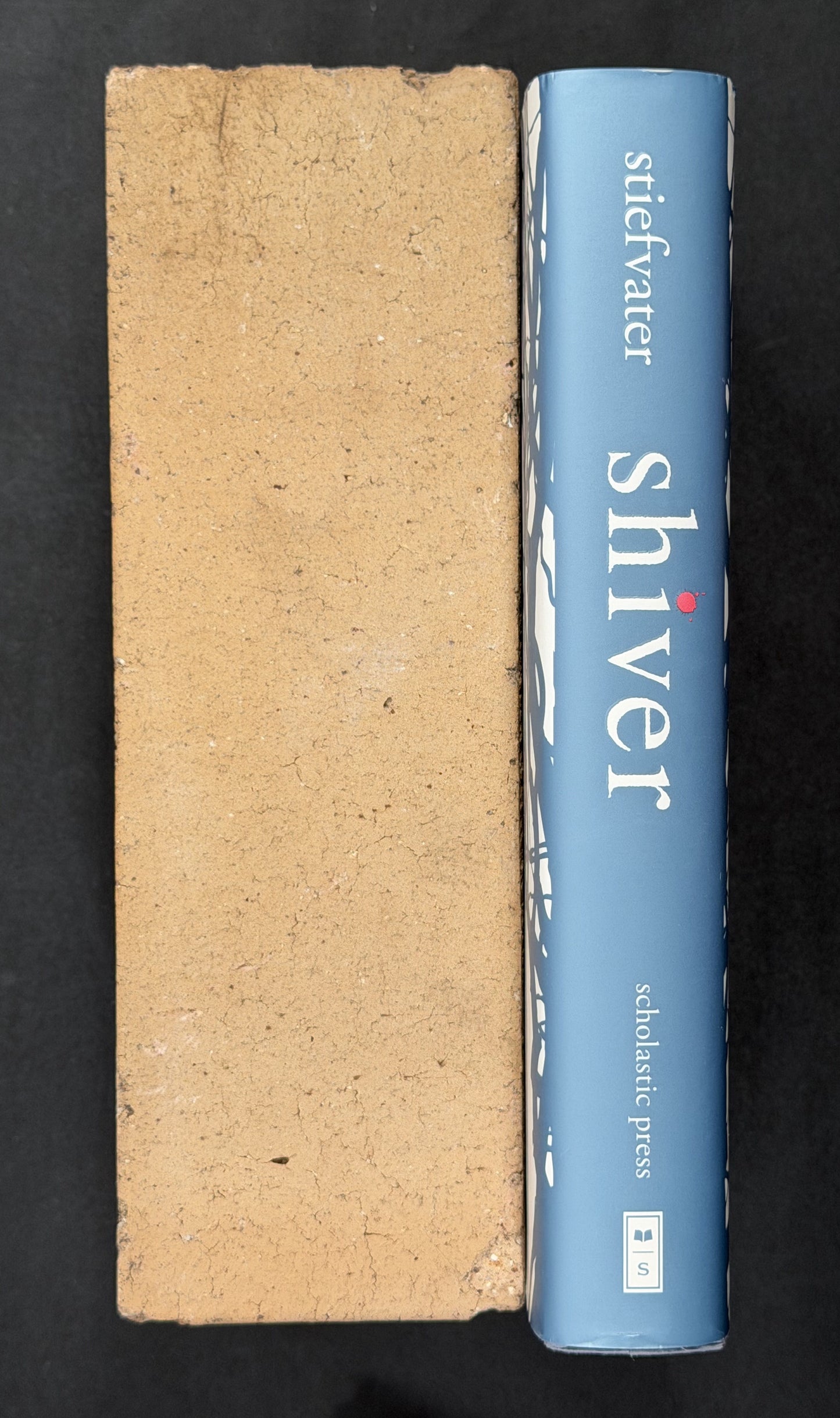 Shiver by Maggie Stiefvater