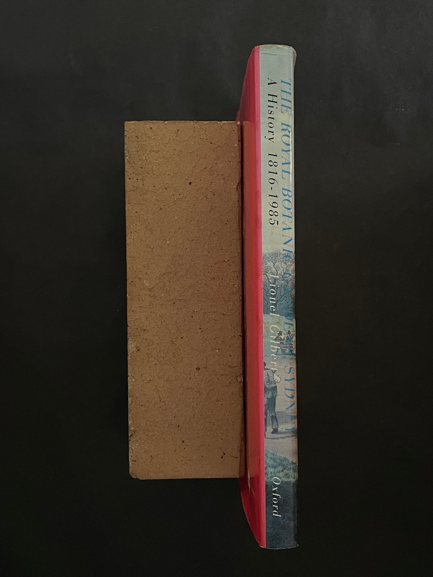 The Royal Botanic Gardens, Sydney by Lionel Arthur Gilbert