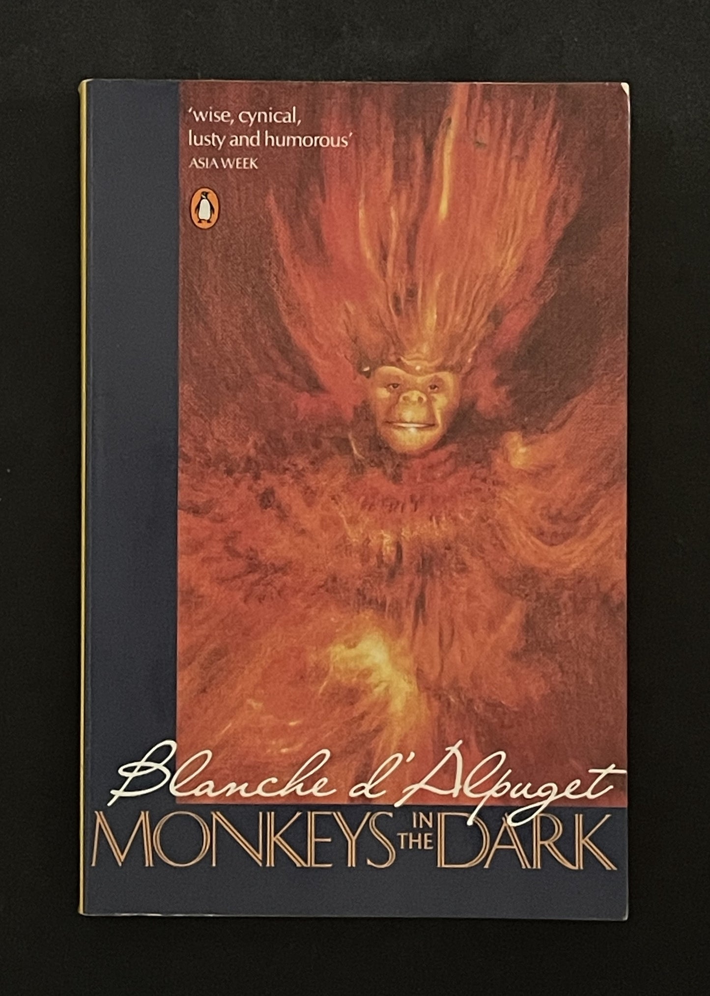 Monkeys in the Dark by Blanche D'Alpuget