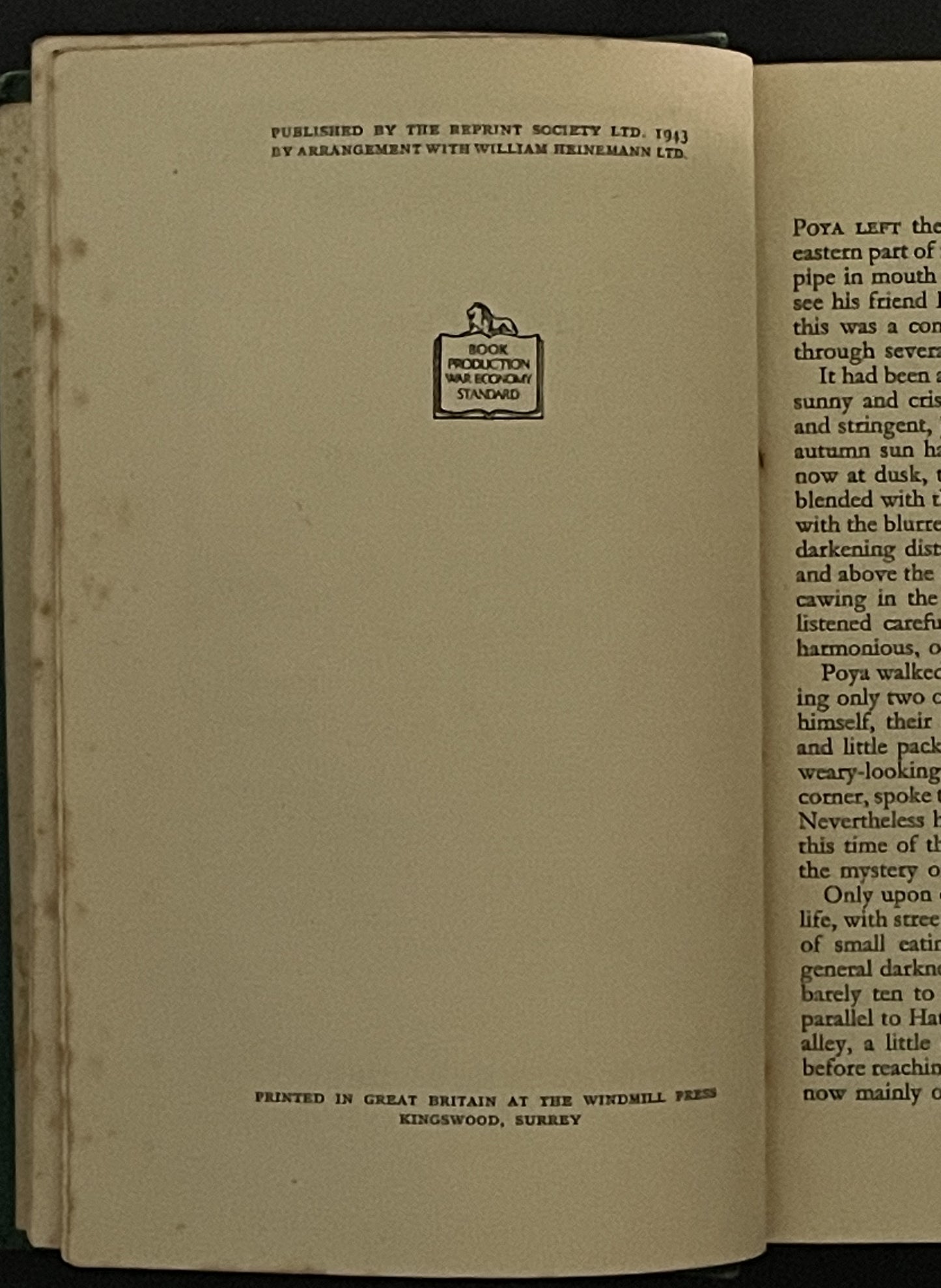 A Leaf in the Storm by Lin Yutang