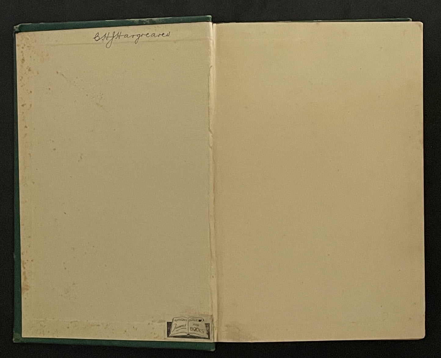 A Leaf in the Storm by Lin Yutang