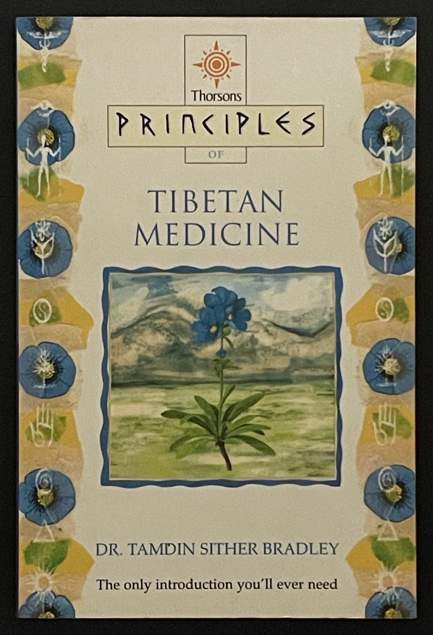 Principles of Tibetan Medicine by Tamdin Sither Bradley