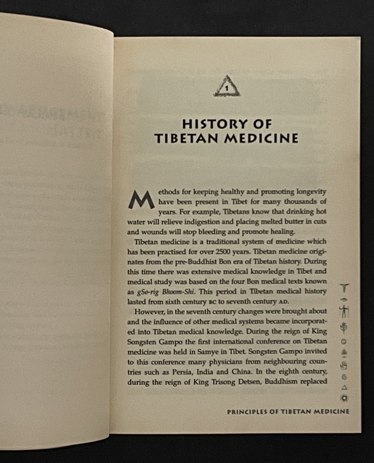 Principles of Tibetan Medicine by Tamdin Sither Bradley