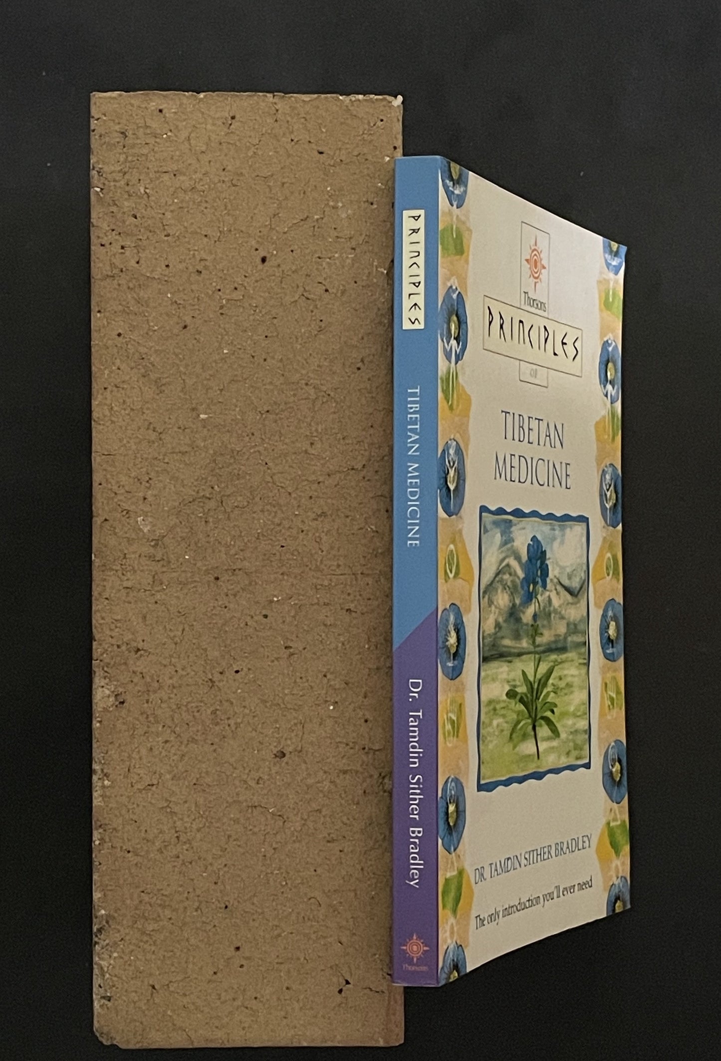 Principles of Tibetan Medicine by Tamdin Sither Bradley