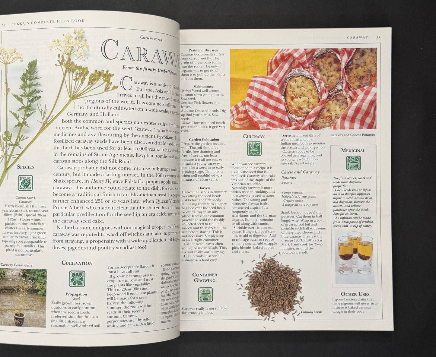 Jekka's Complete Herb Book by Jekka McVicar