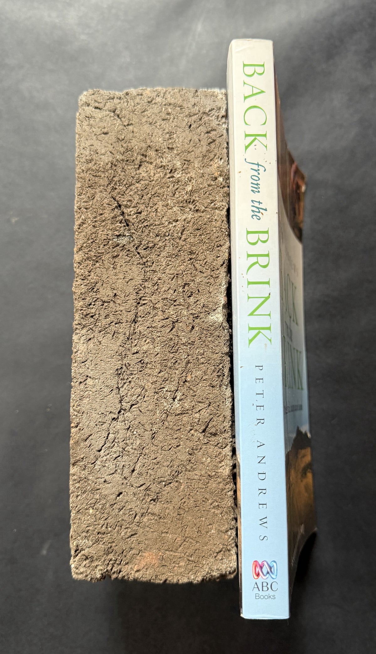 Back from the Brink by Peter Andrews