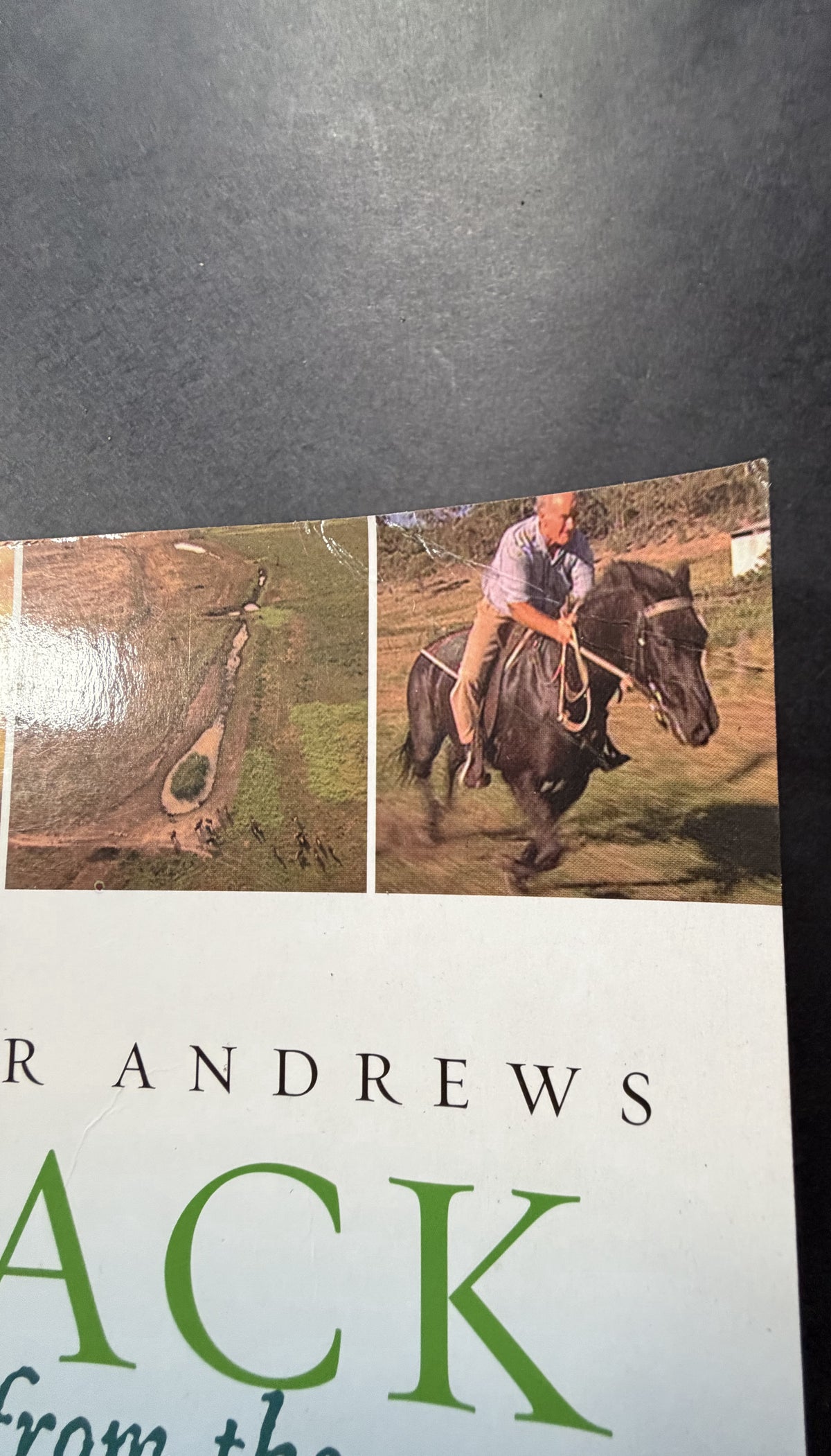 Back from the Brink by Peter Andrews