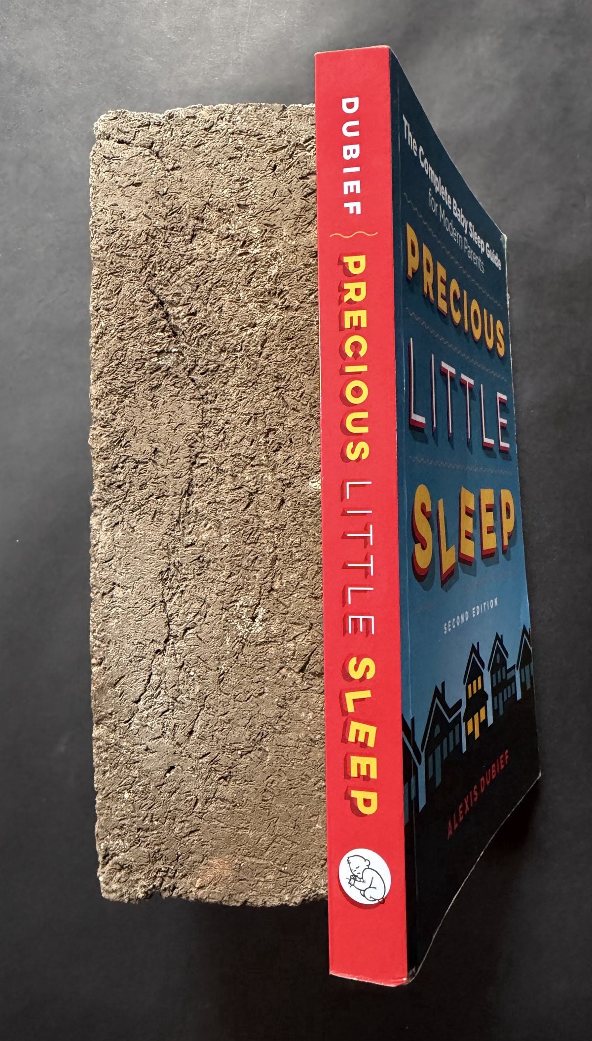 Precious Little Sleep - Second Edition by Alexis Dubief