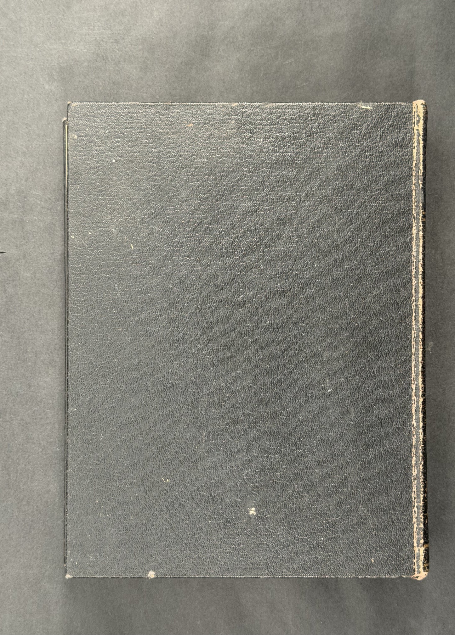Good Housekeeping's Cookery Compendium by The Good Housekeeping Institute