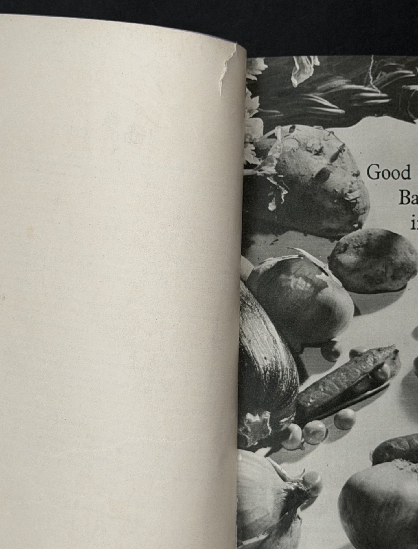 Good Housekeeping's Cookery Compendium by The Good Housekeeping Institute