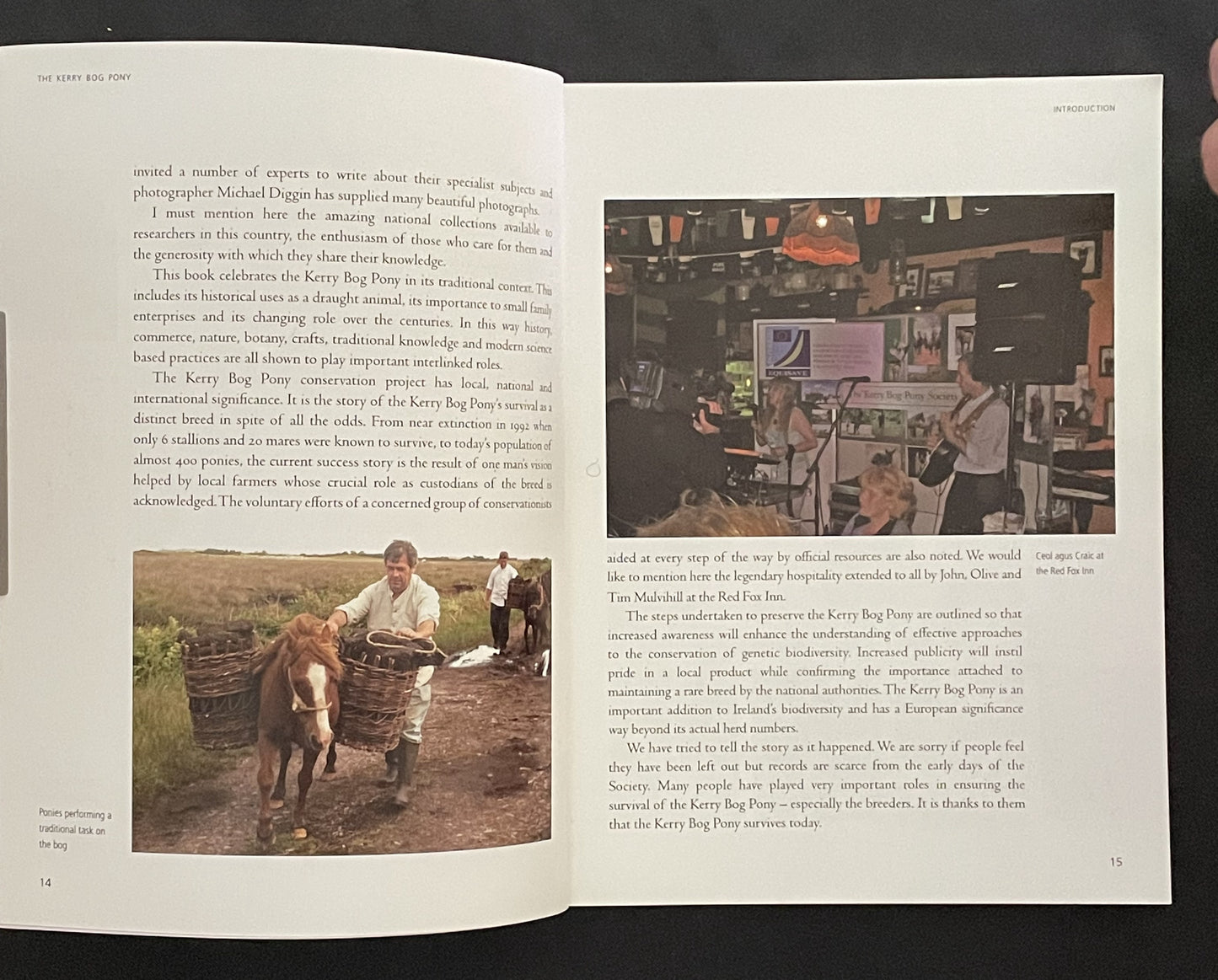 The Story of the Kerry Bog Pony by Mary McGrath, Gay Keogh