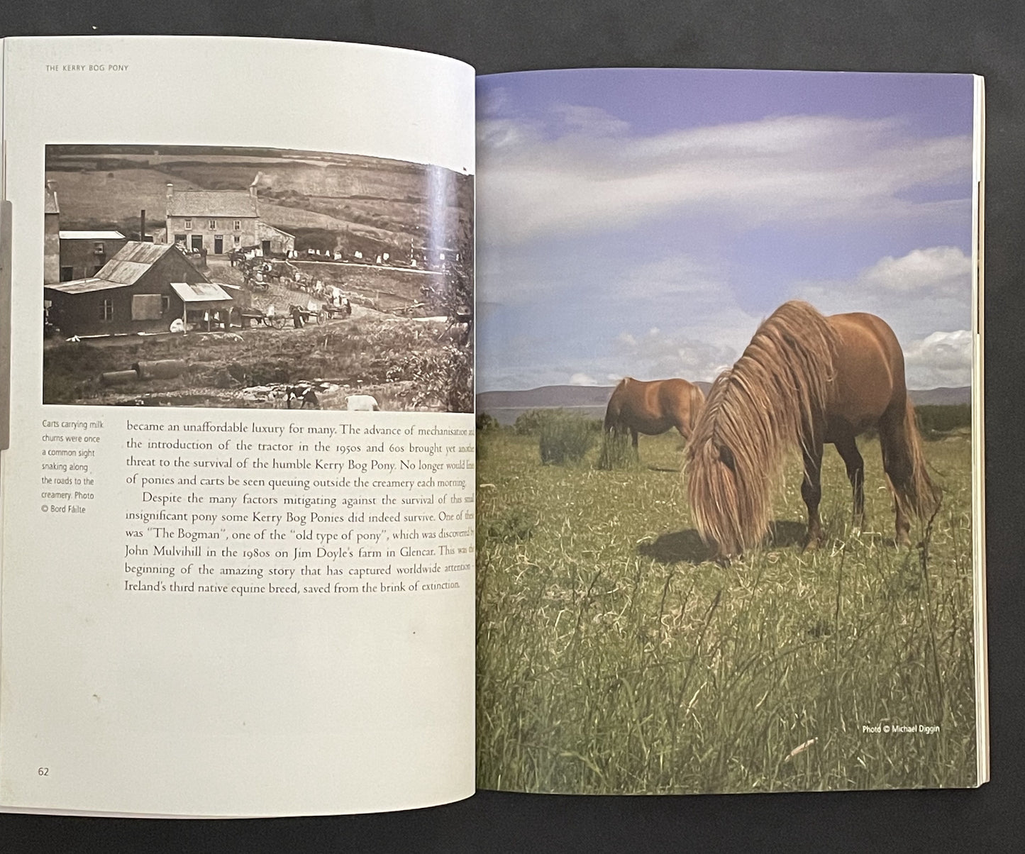 The Story of the Kerry Bog Pony by Mary McGrath, Gay Keogh