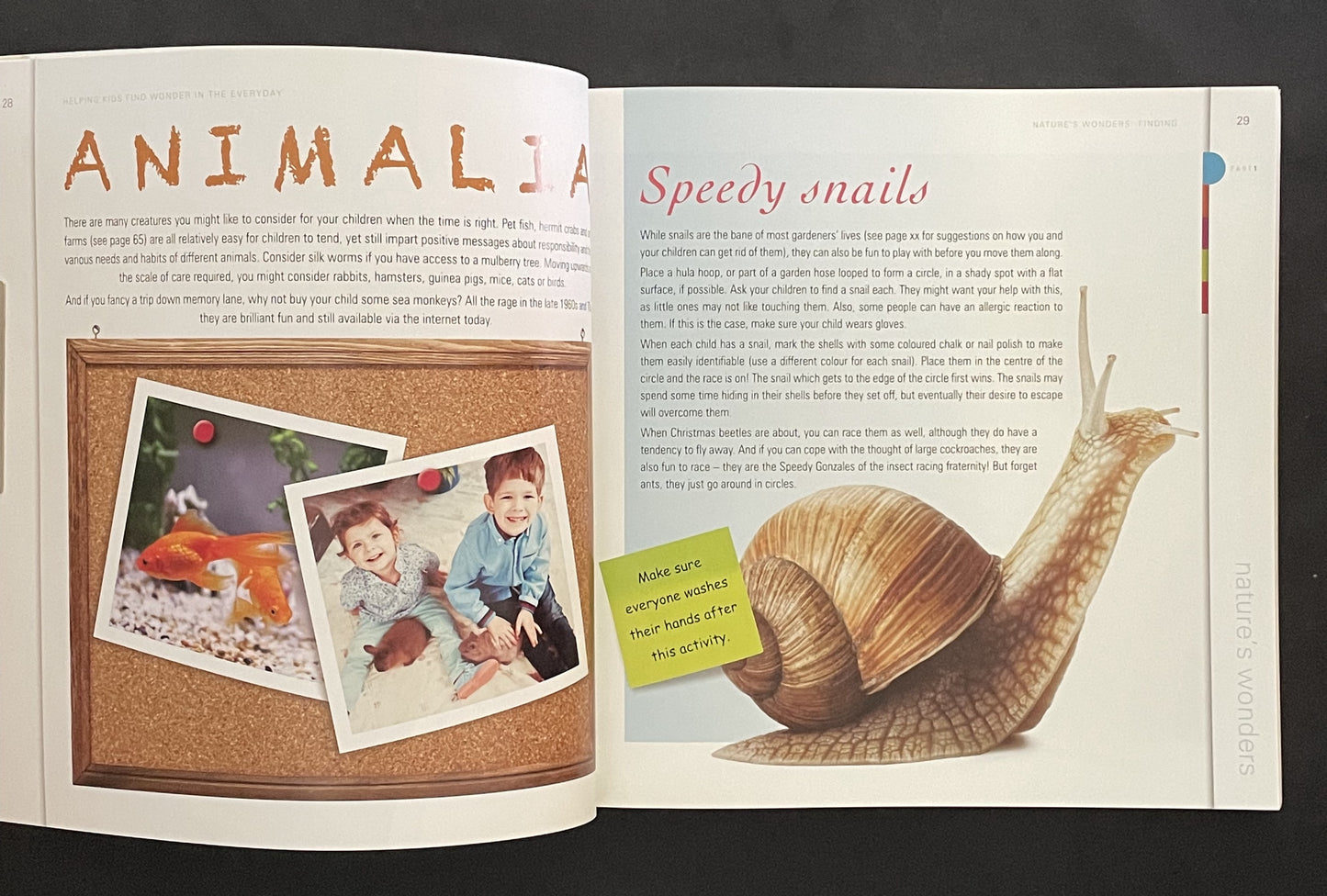 Helping Kids Find Wonder in the Everyday by C. Webster