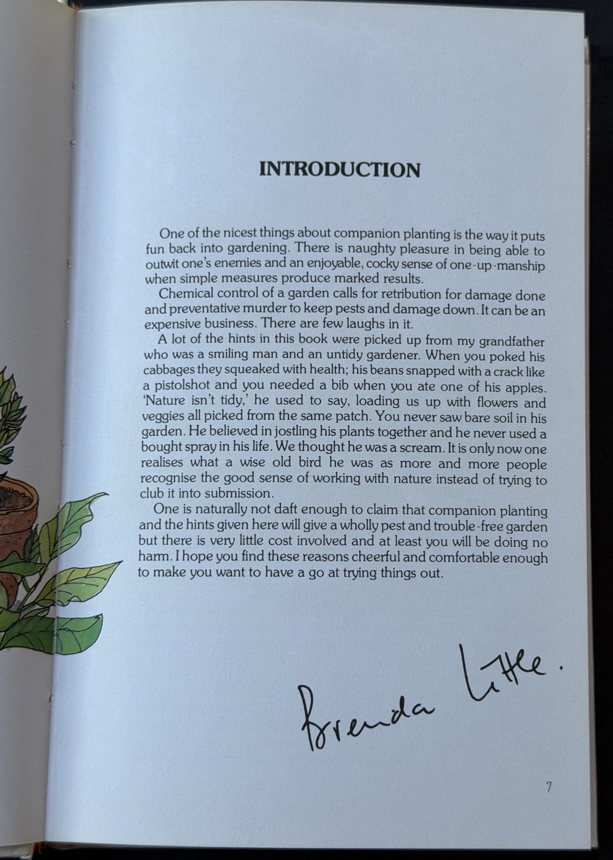 Companion Planting in Australia by Brenda Little