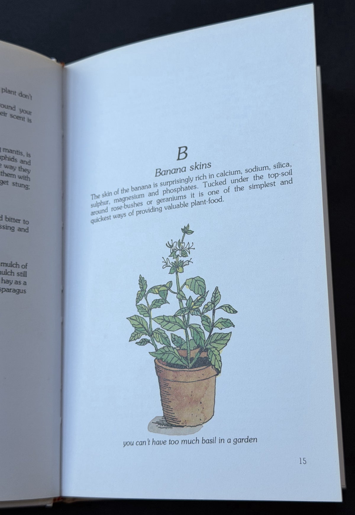Companion Planting in Australia by Brenda Little