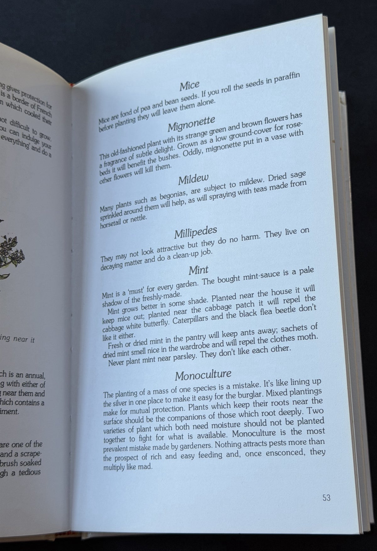Companion Planting in Australia by Brenda Little
