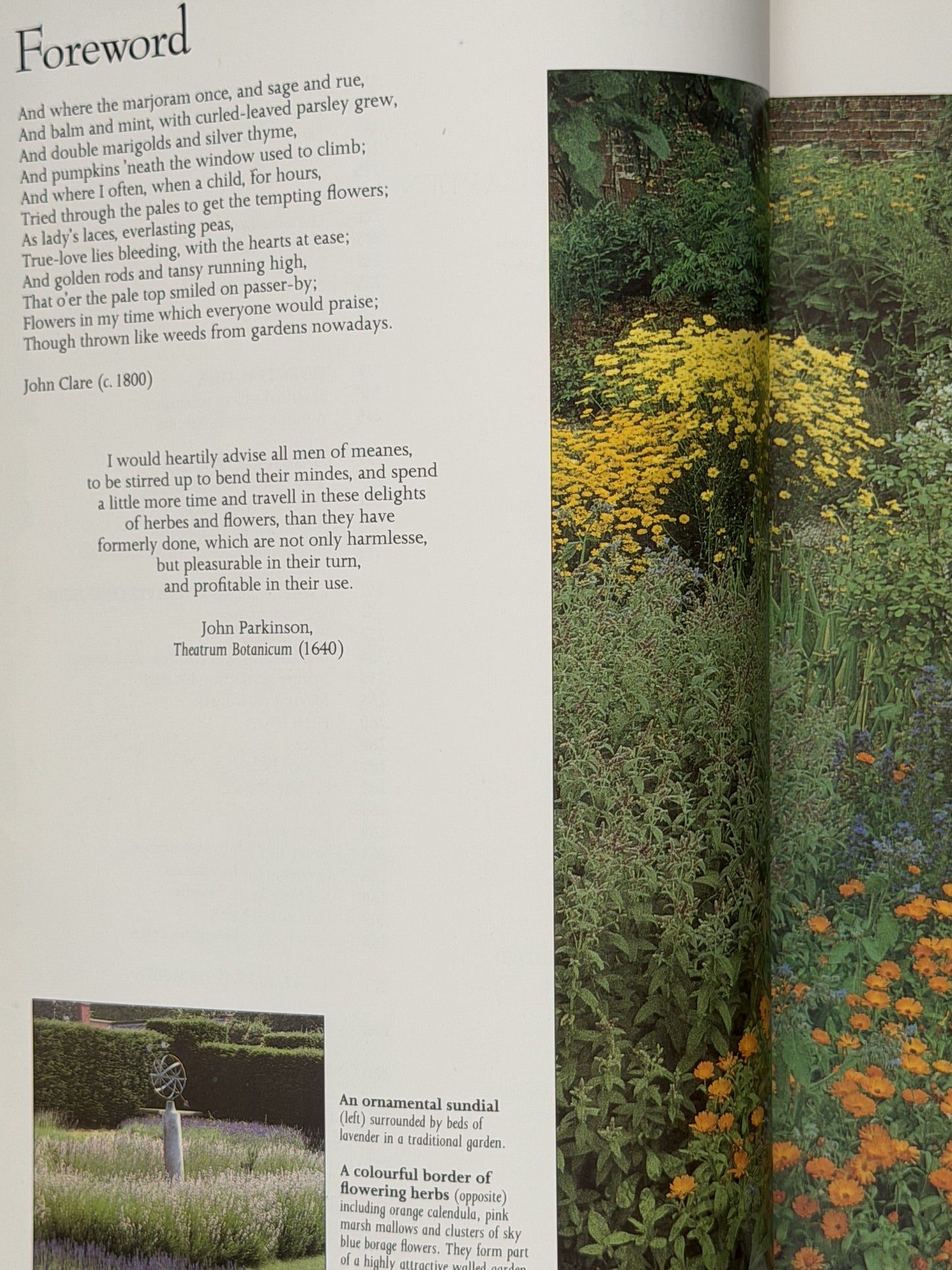 The Complete Book of Herbs by Lesley Bremness