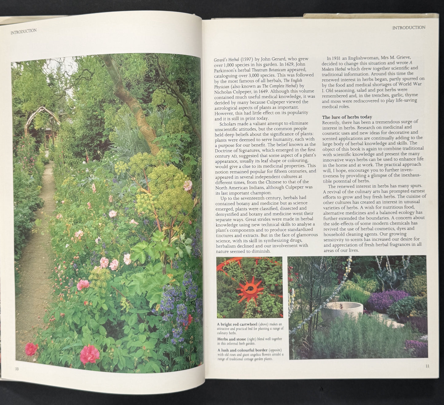 The Complete Book of Herbs by Lesley Bremness