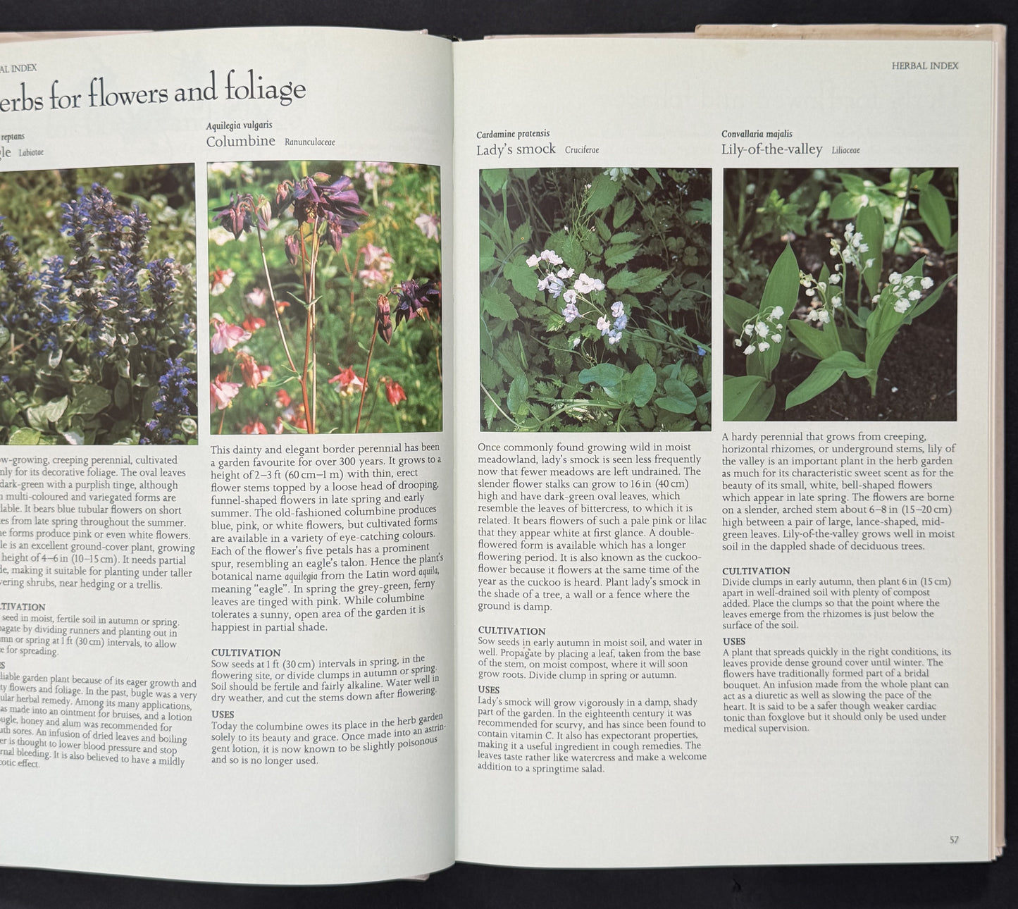 The Complete Book of Herbs by Lesley Bremness