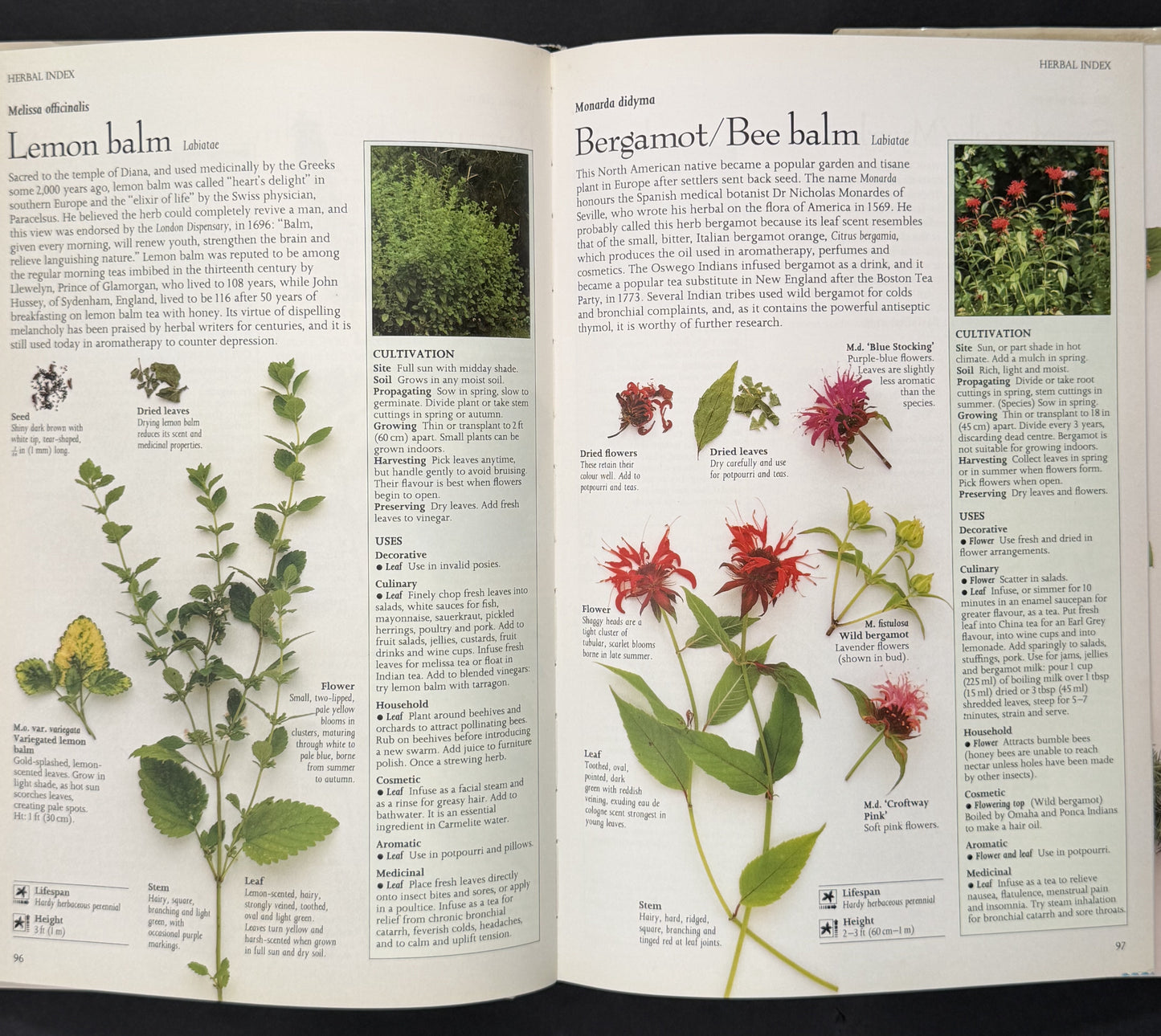 The Complete Book of Herbs by Lesley Bremness