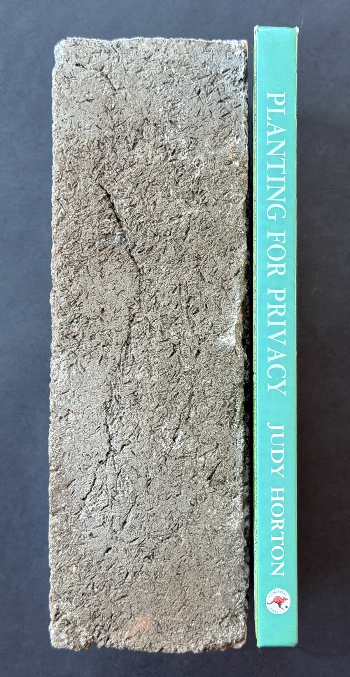 Planting for Privacy by Judy Horton