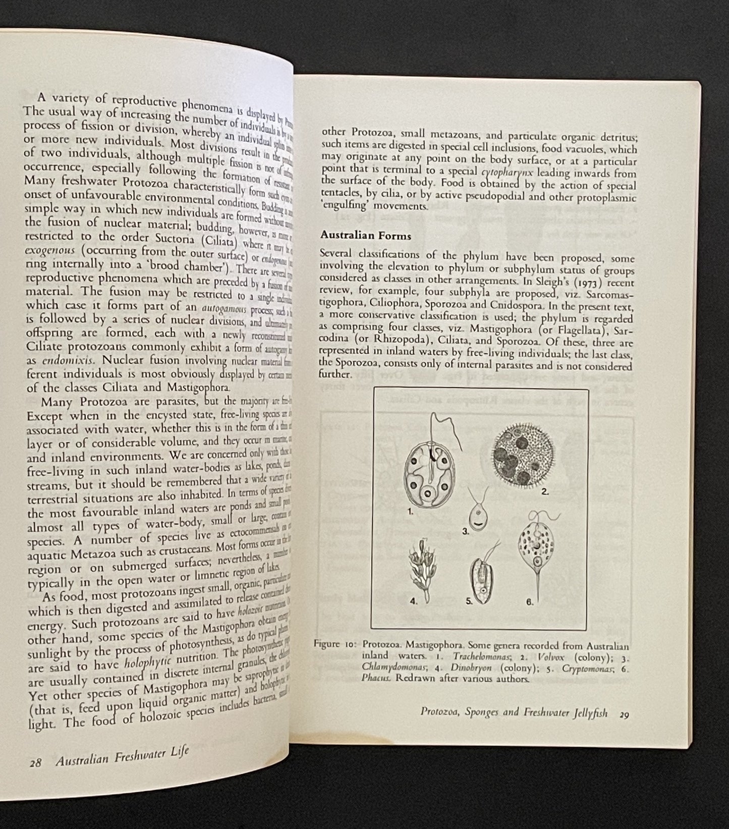 Australian Freshwater Life by William David Williams