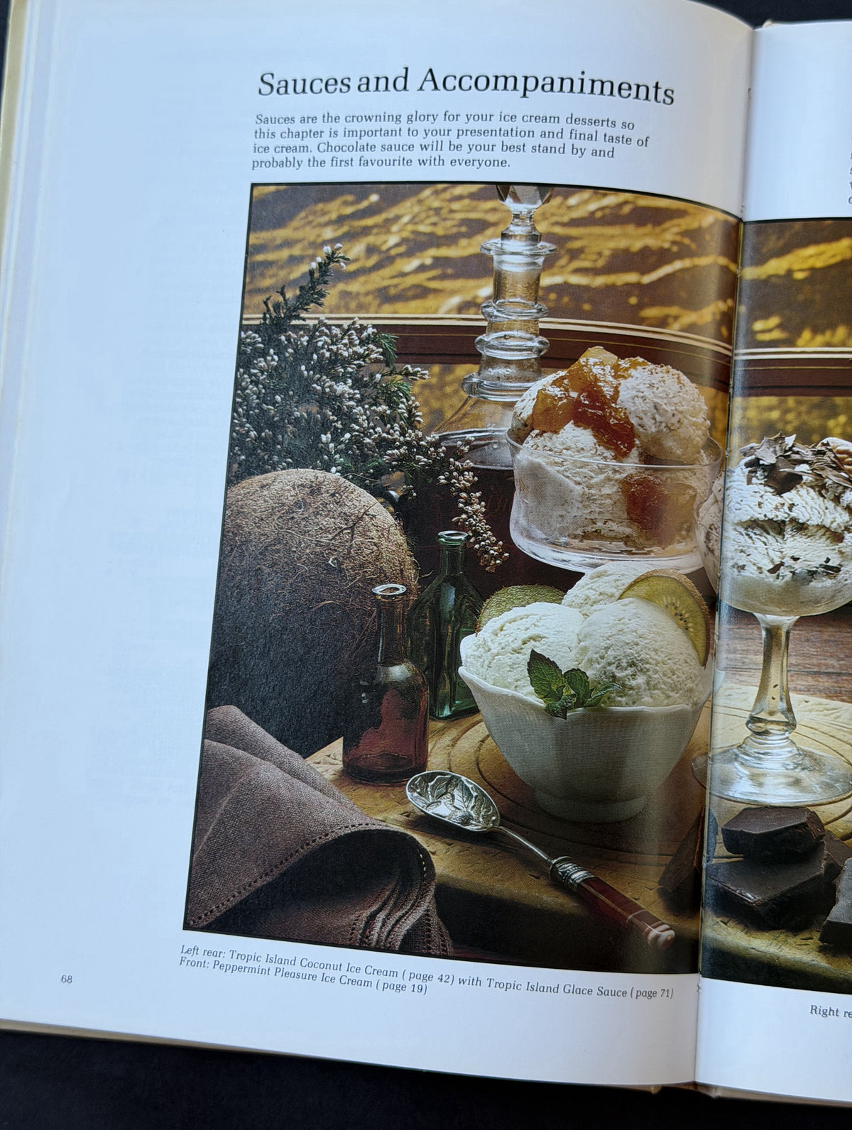 Old Fashioned Homemade Icecream by Ann Creber